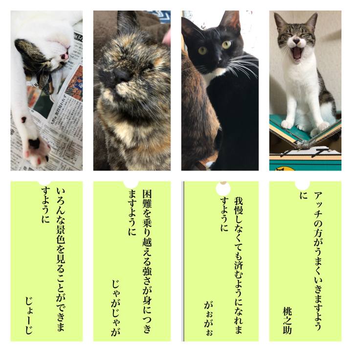 5a181784 346c 4654 a3c0 d3fc81e5352c 1594120899026