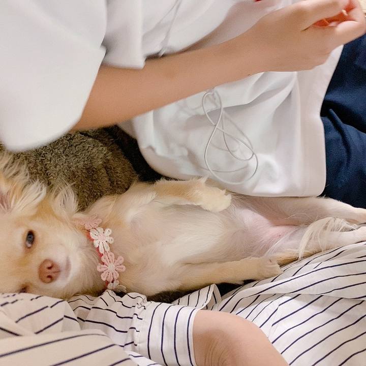 5a182d7e ba18 4130 bd13 e72812324292 1619184507162