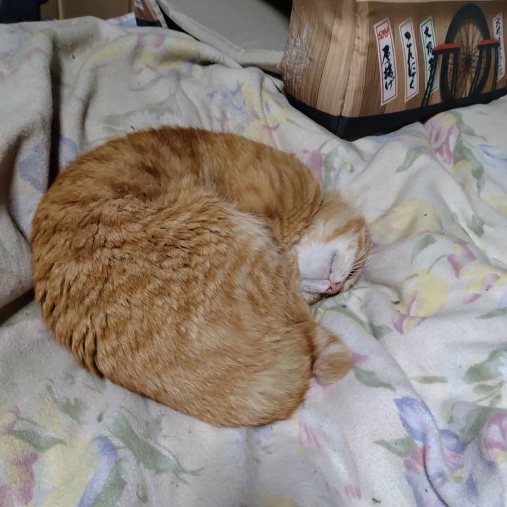 5a18426f 7e5f 4f84 9bd9 cd8a28242fc4 1682253828292