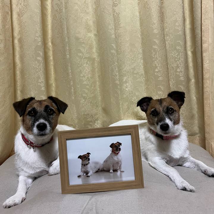 5a18761a a275 422c bed7 171ea9ce4950 1662881291668