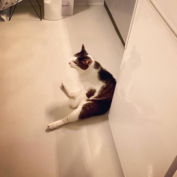 5a188385 bc0f 4c2b b789 852b9ea52db1 1594638159059