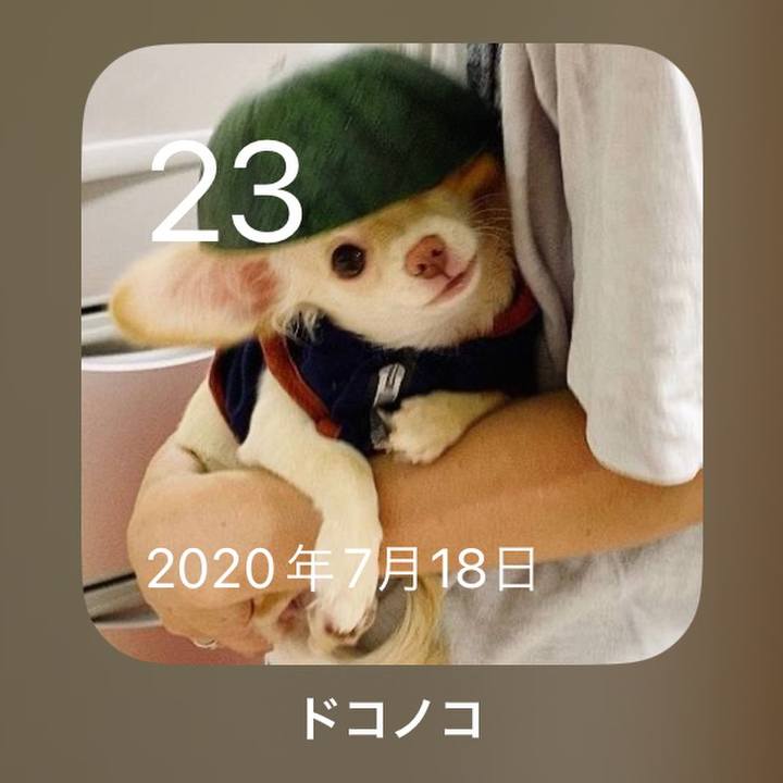 5a18a790 efec 4fbf b434 781e1286a1d5 1690113933223