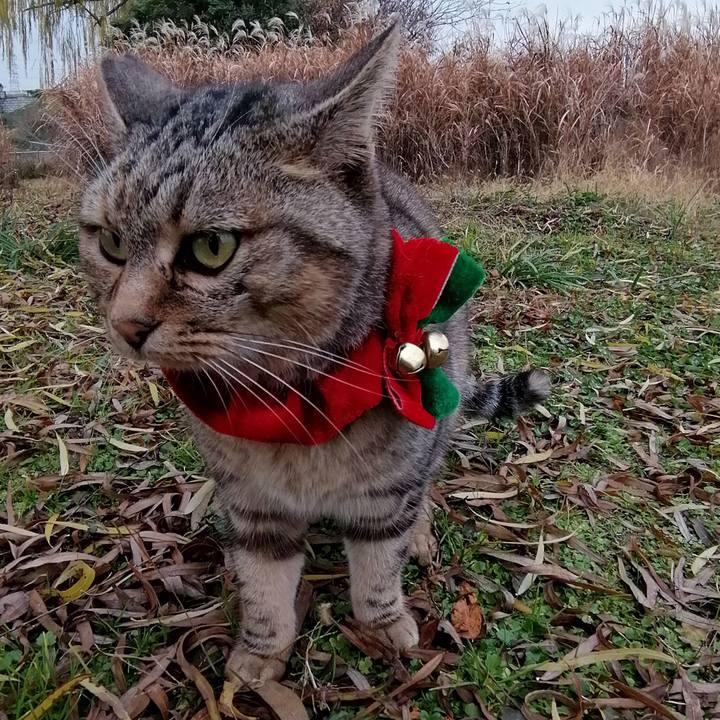 5a18c098 72ea 450e 8ac3 f1b500f15e14 1577360421131