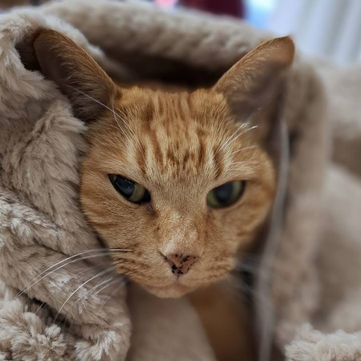 5a18fed5 6c03 4857 90db 03df6978252f 1734140371594