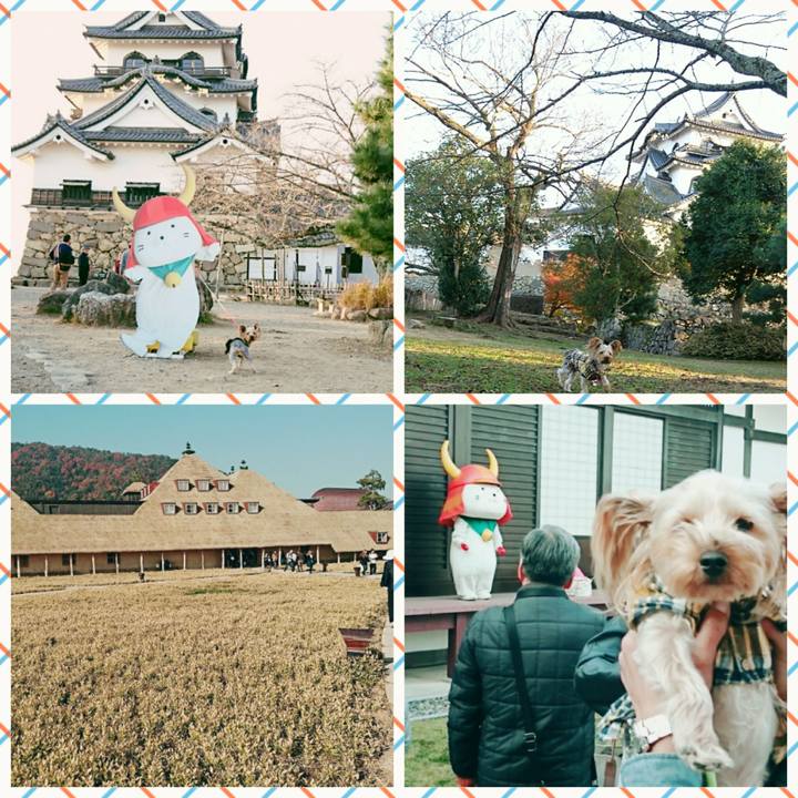 5a191ecb 5599 4b64 b26f f51bf4a59284 1511870364693