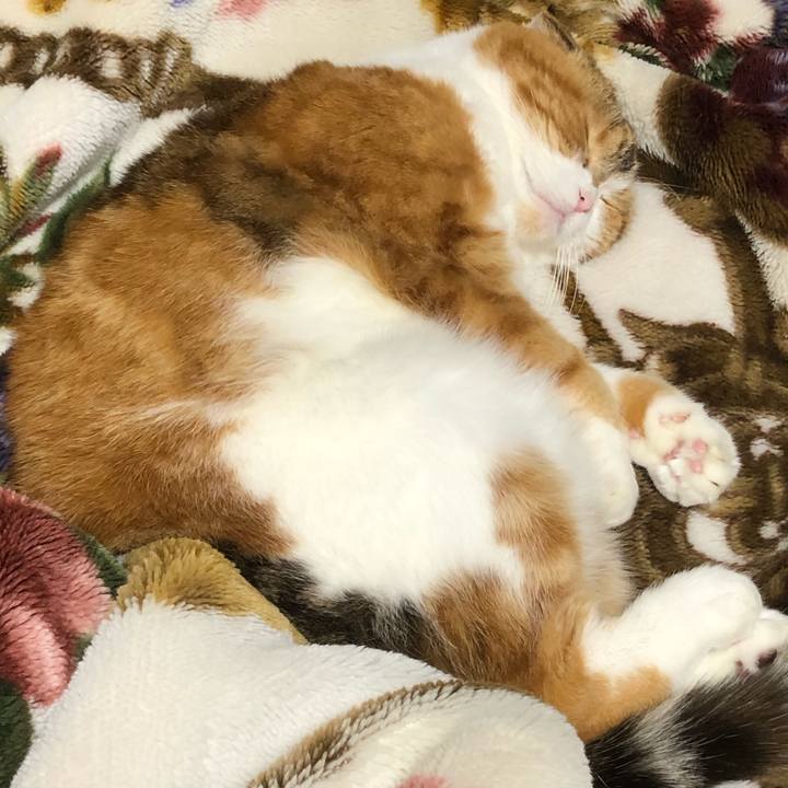 5a193f14 c59f 4e9a 8585 05e1dd613999 1606571431902