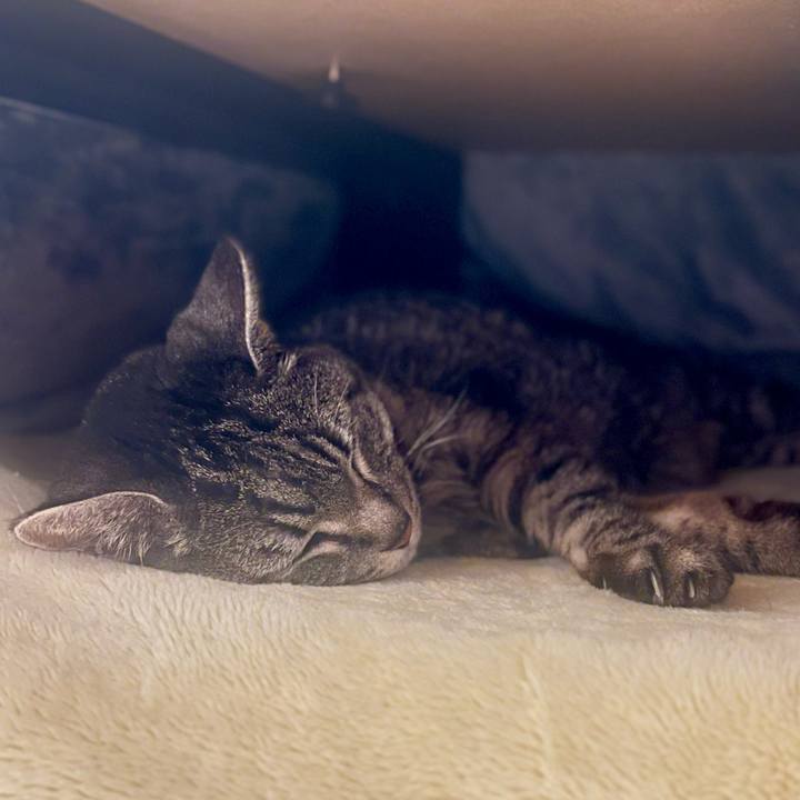 5a1954fb 3a95 4a83 9cc5 a4bdc7ba67fe 1764074119018