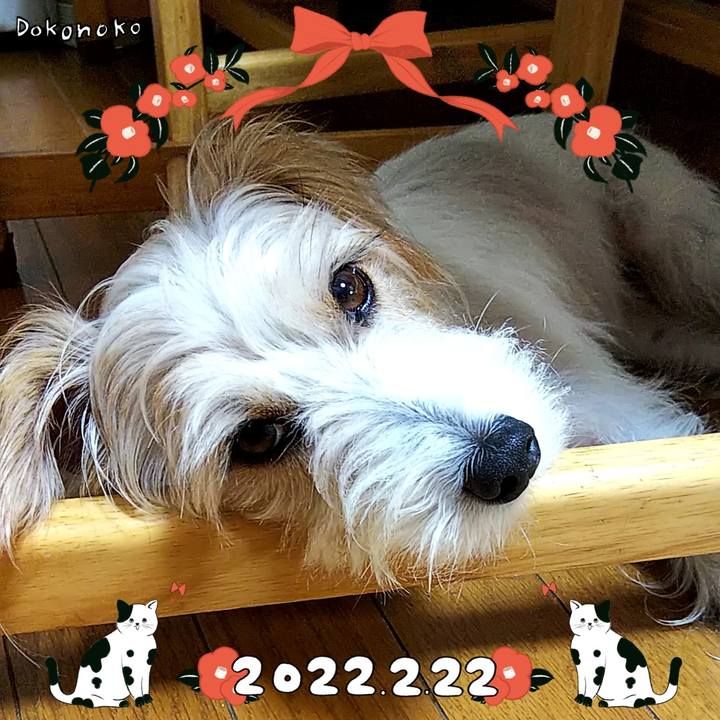 5a199b47 26bb 470b 821f b7ff68193b7d 1645514768583