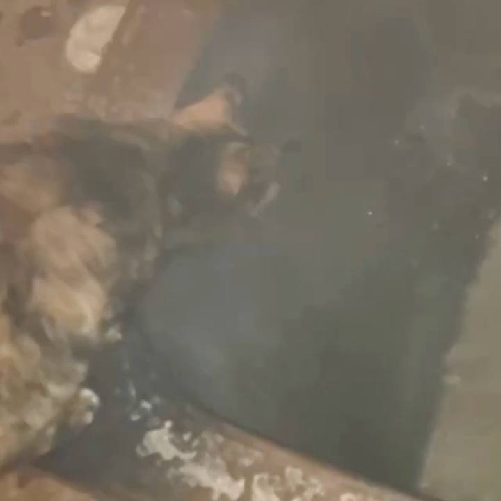 5a19a9b9 356c 4062 8874 73b295ddfc87 1738352843660