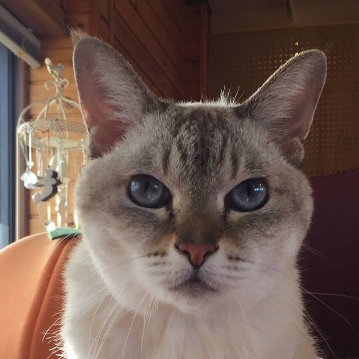 5a19d5d5 0dff 4746 85d4 1050c8bfbc23 1541226008077