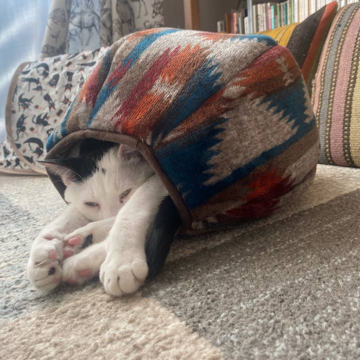 5a19e292 9c4f 4d6a a02b e47b61a51a40 1704505400643