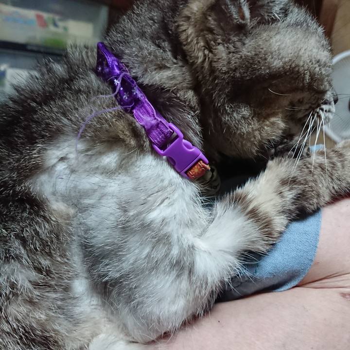 5a1a0cf1 ed4f 469b 95bd 7086d860fd5b 1596542500562