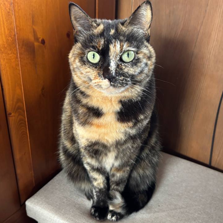 5a1a21bb 221b 4b3c b2d1 655f70e5af53 1773445760358