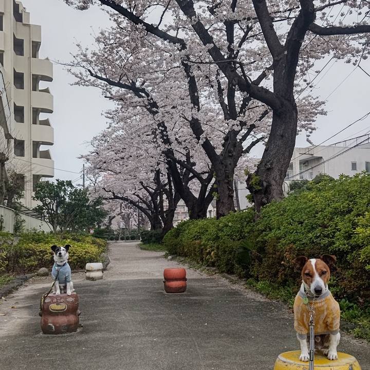 5a1a76de 6f86 4a94 9499 a1f2f2af624a 1679522321793