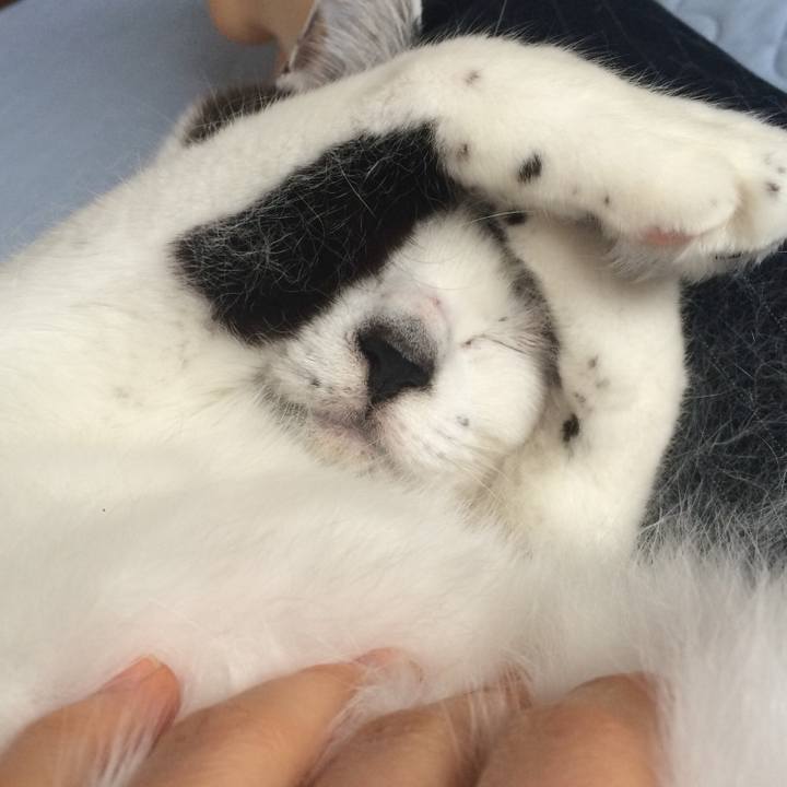 5a1a95ed fff0 4175 91de 0bf818706968 1521367902357