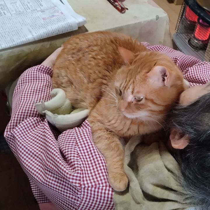 5a1aa672 2a5d 48c6 af27 67b3908d7af9 1737619606849