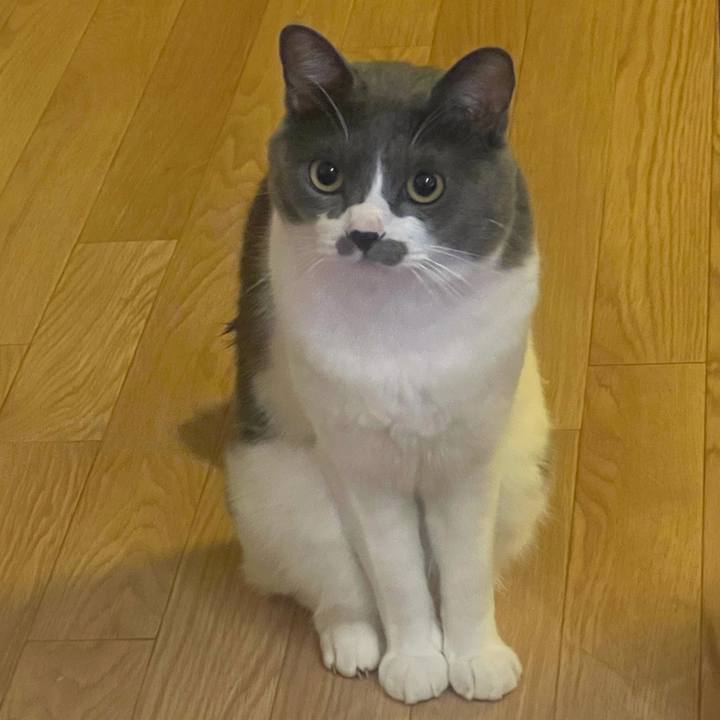 5a1aab3a c3e4 4c25 b07e e24dc0aacbb4 1631566841541