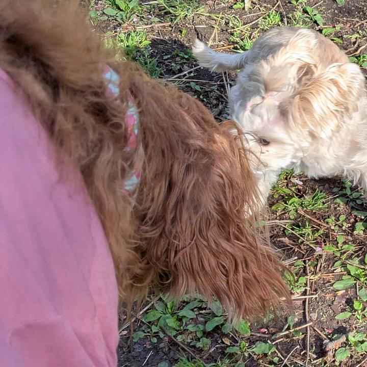 5a1ad4e7 c5a2 4414 a461 4bb8027c659c 1776896929178