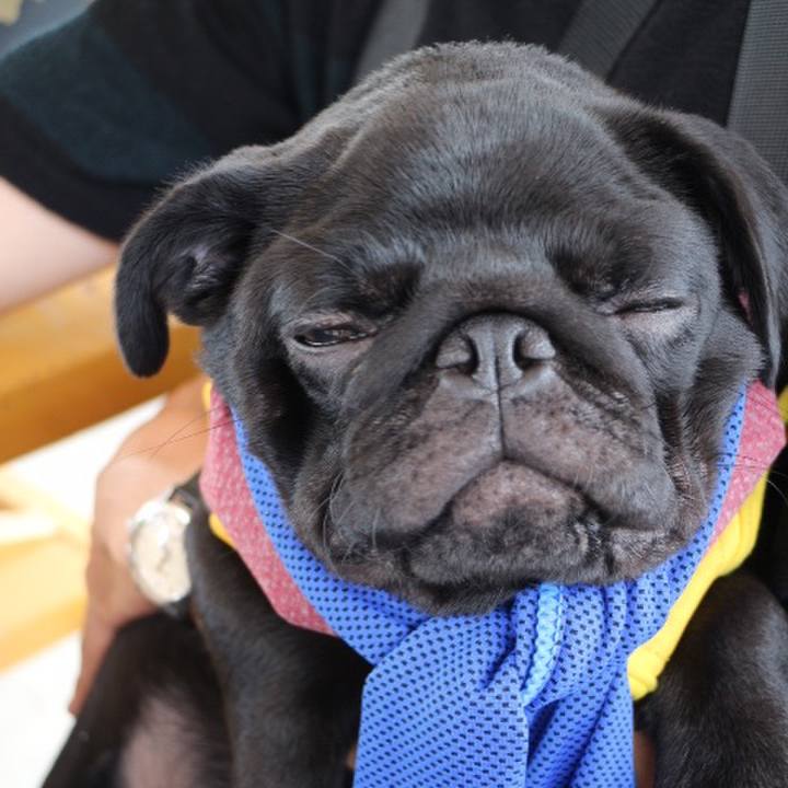 5a1ad560 6c0f 45fe 9a2a d965d6714361 1596771430210