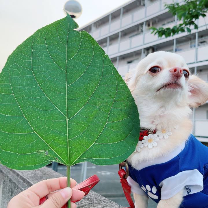 5a1b3a62 9563 4737 8eff 7ea145500df1 1688389399060