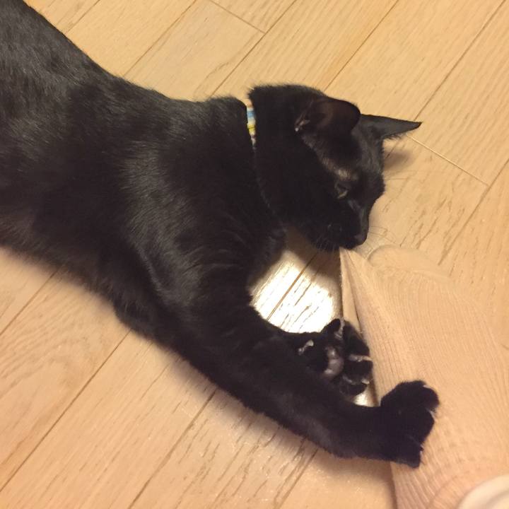 5a1b5293 1be6 4a2c ad4f 8d4846dd2a36 1510928962480