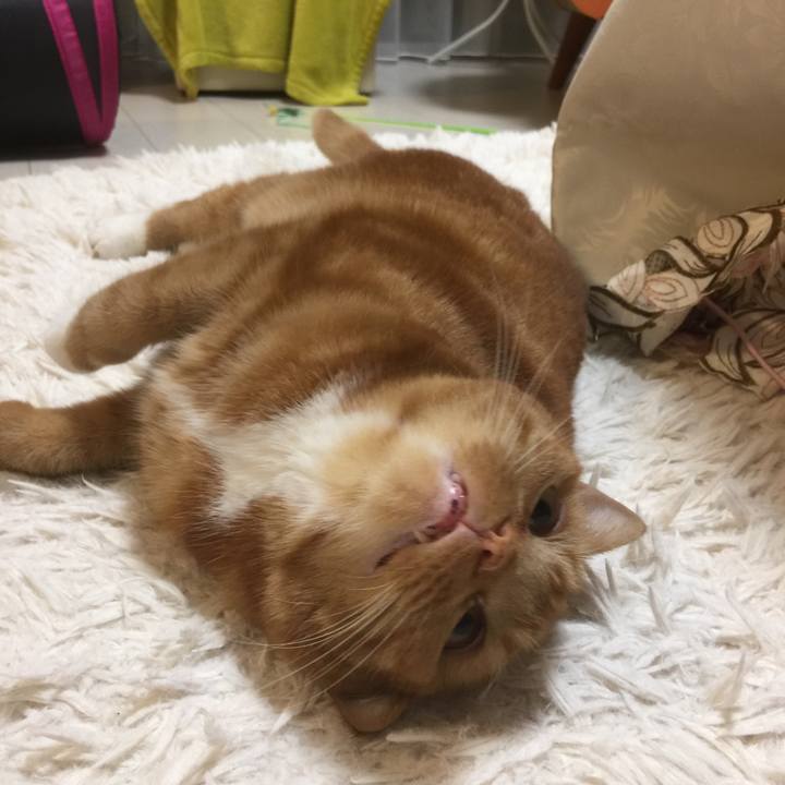 5a1b5a5a 66a9 4806 8653 fd22c868495e 1601213084591