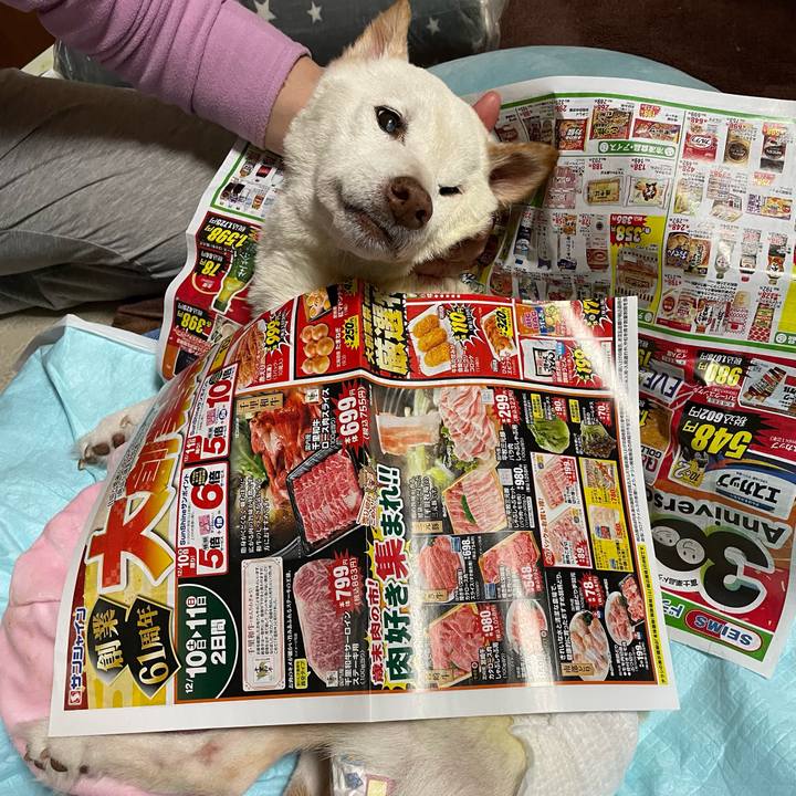 5a1b7933 8189 4dc6 bac6 35f60d766d4e 1670680950320