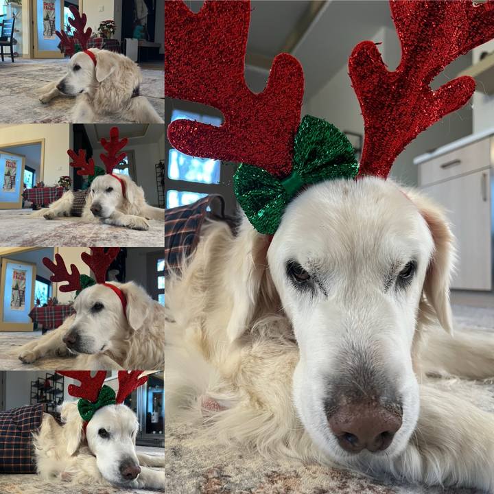 5a1b8887 0ca3 4a50 a7d9 900dac93a1fb 1766606814504