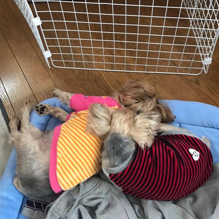 5a1bbd9b 399a 4808 9816 0abcb293c115 1605255703281