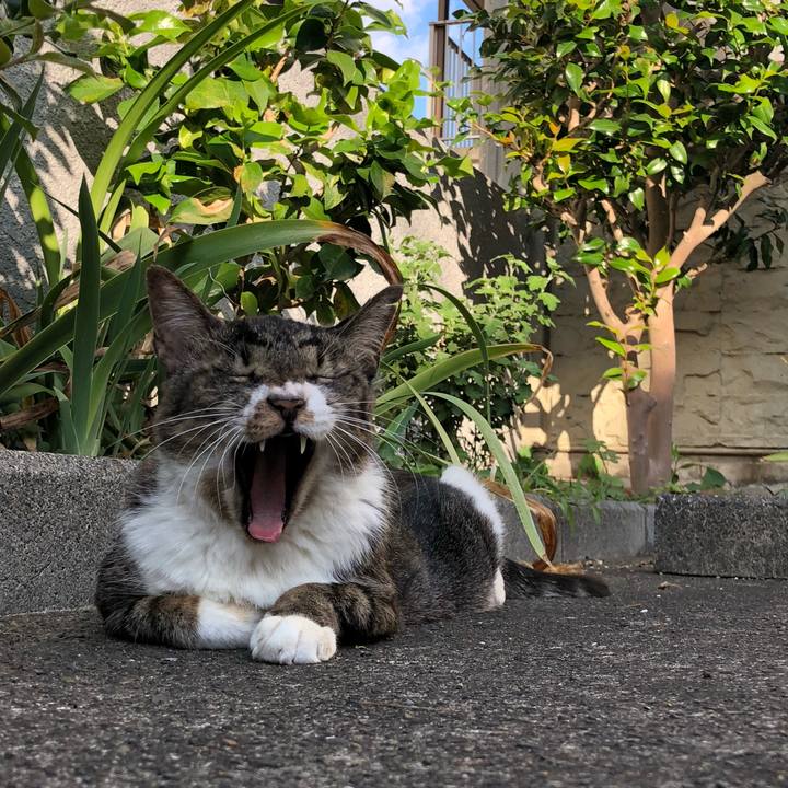 5a1bd1c2 1a2d 412a 910e ae96d28f2b7b 1569073361480