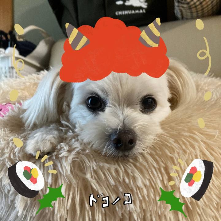 5a1bf29b 39e2 41e9 a5d8 d840f60b03db 1706940905320