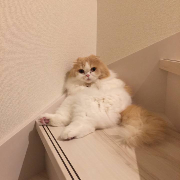 5a1bfdd1 8fec 48da b368 0622aa2c8818 1579006874866