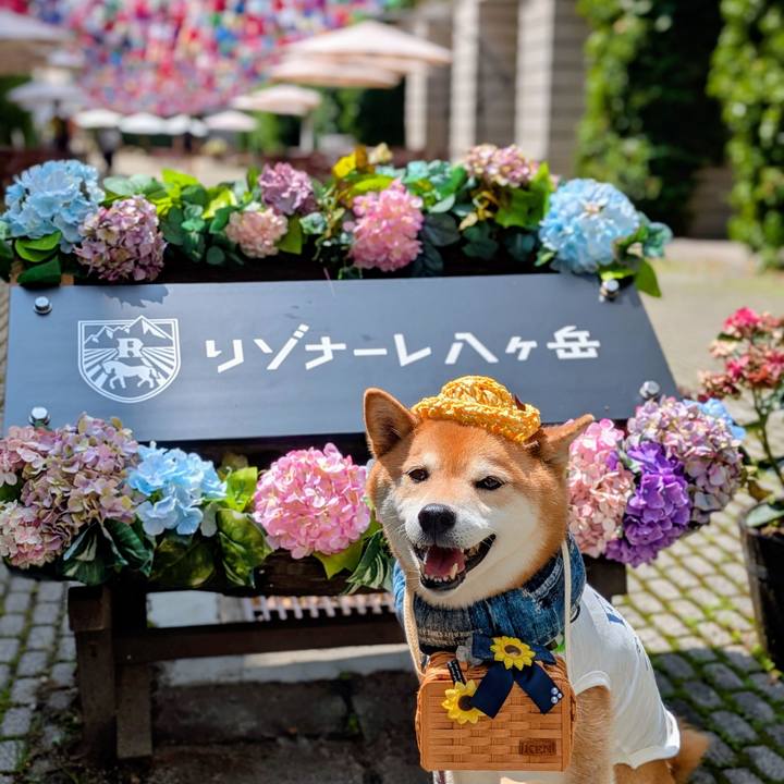 5a1c0ada 745f 4826 a1b6 003e1eae61fe 1751678257514