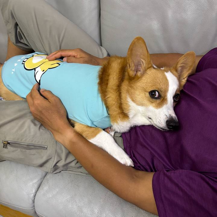 5a1c2257 1d29 4d27 97e1 be5ec7903ce2 1759422934675