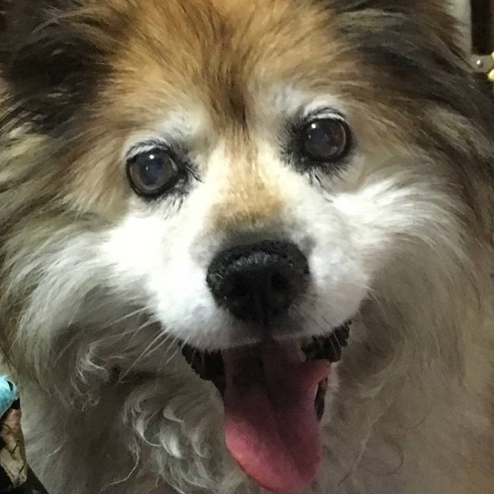 5a1c93fd 263b 47a4 b717 1faab9c2a9e0 1623388199940