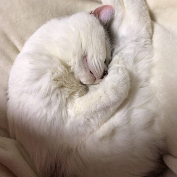 5a1ca381 12e1 48af a06f 1e93a66de46a 1544483322577