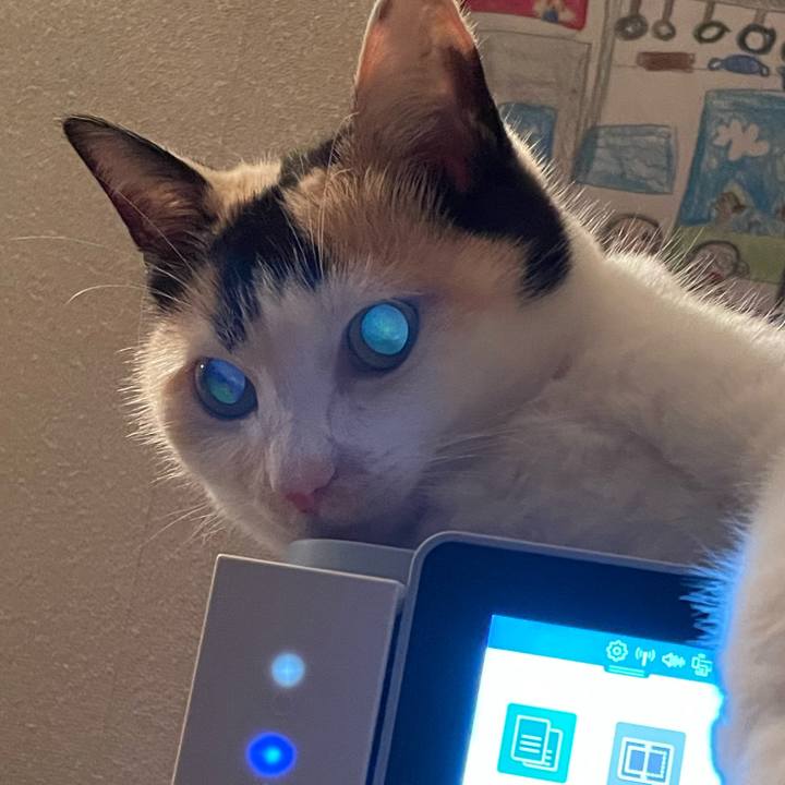 5a1cd038 a986 4130 b4b4 3020dafe189d 1719499306435