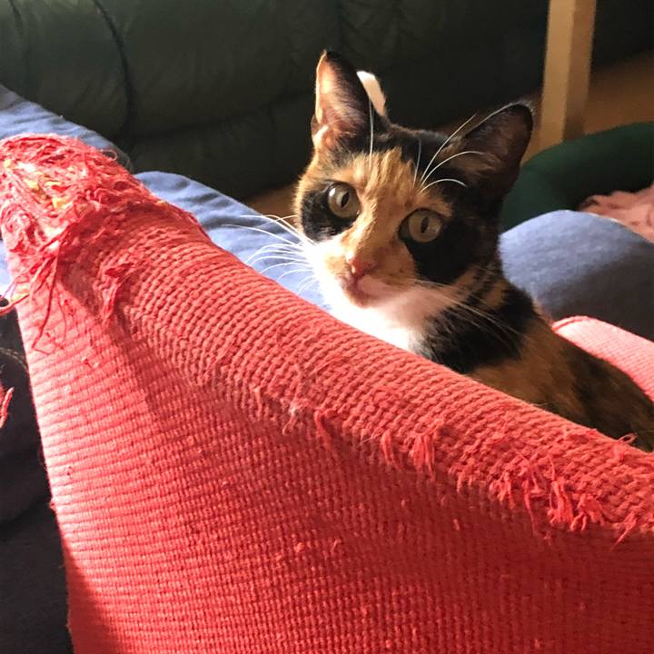 5a1cf64d d67b 4aa7 8806 6b738971c807 1536627000001