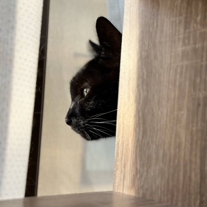 5a1d5645 0964 4681 ac2e 073b80a61bca 1700095752799