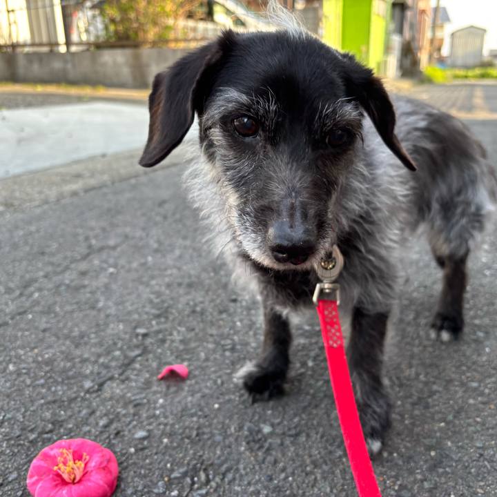 5a1d663c 4ac2 4149 a058 a3a74e1396d0 1743981647364