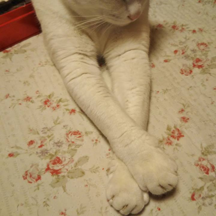 5a1d860c 590d 4a40 bf54 4c872808f47a 1588252387463