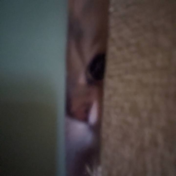 5a1da1ec 0e8b 45a9 9cc9 57660996e100 1706483636842