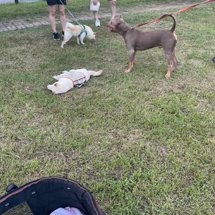 5a1daa90 756c 49e9 8c9f bd530fc3ce1c 1659273017218