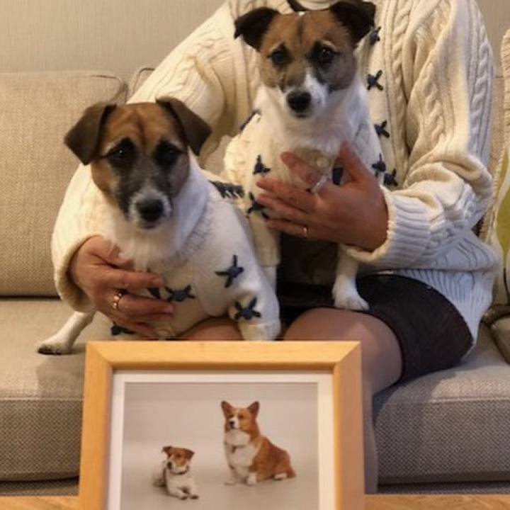 5a1dcb7a 9284 433b a2d4 f6d9a6dcd8d7 1544866880276