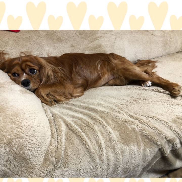 5a1dceaa c95f 4270 8ea0 27266d264c56 1586781387718