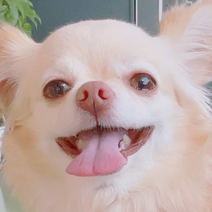 5a1dd406 5075 44d5 b3fe 5df24fb0da30 1751084675126