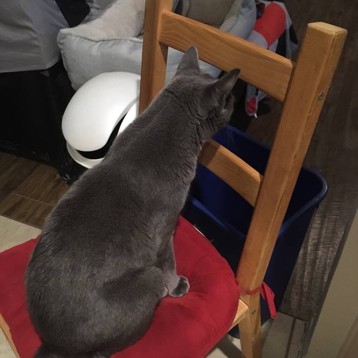 5a1de436 f3a5 4161 bcf3 f88e3396e583 1664858016191