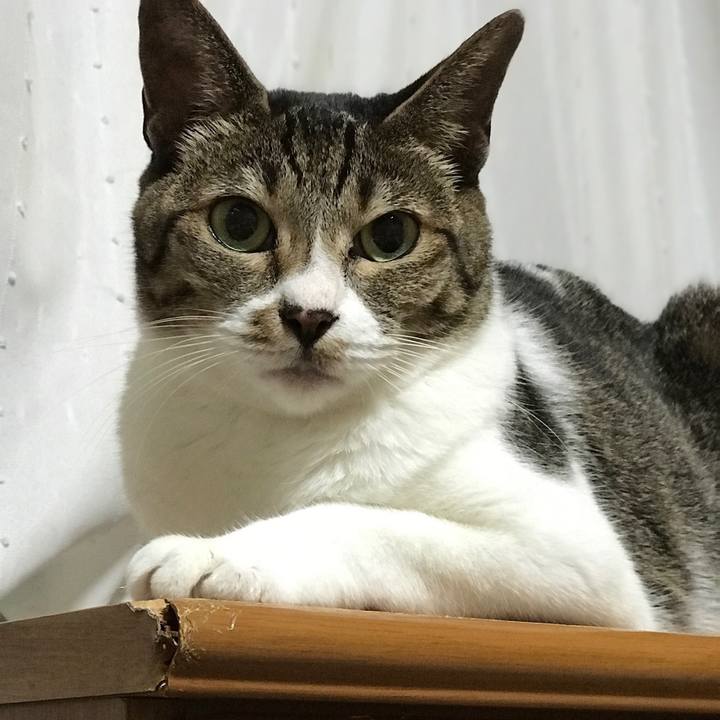 5a1e0ed2 df27 4311 91eb 4d15626609d6 1535763790666