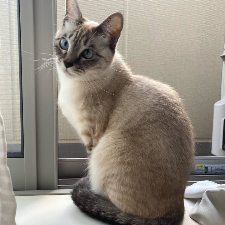 5a1e590e 0739 4ef6 8c3c a344085c97f0 1606094315817