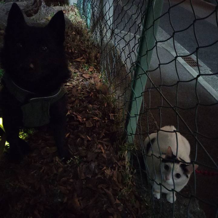 5a1e6ff0 73ff 416c a91f cbd98eaf84a1 1704970274909